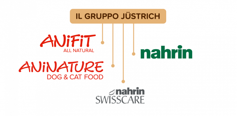 Il Gruppo Jüstrich