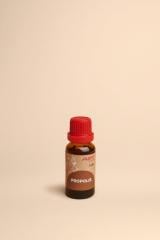 Propoli natürliches Heilmittel für Hunde und Katzen